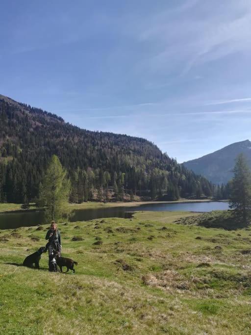 Wegscheid Urlaub Mit Hund Im Salzburger Land 아파트 외부 사진